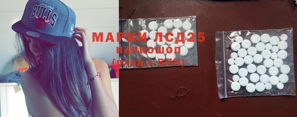 мяу мяу мука Бородино