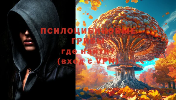 мяу мяу мука Бородино