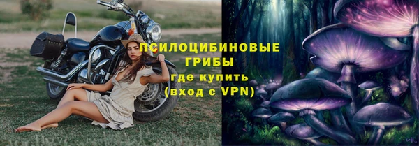 мяу мяу мука Бородино